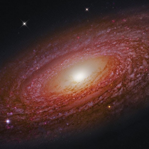 Meet your Posher, Gabrielle - Picture 1 of 1